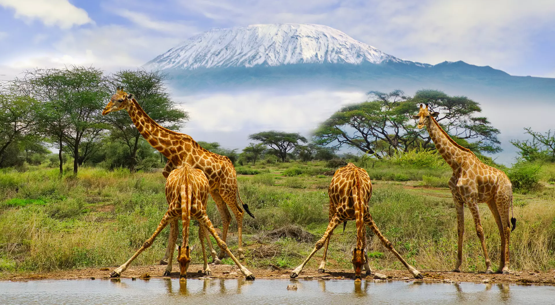 Amboseli