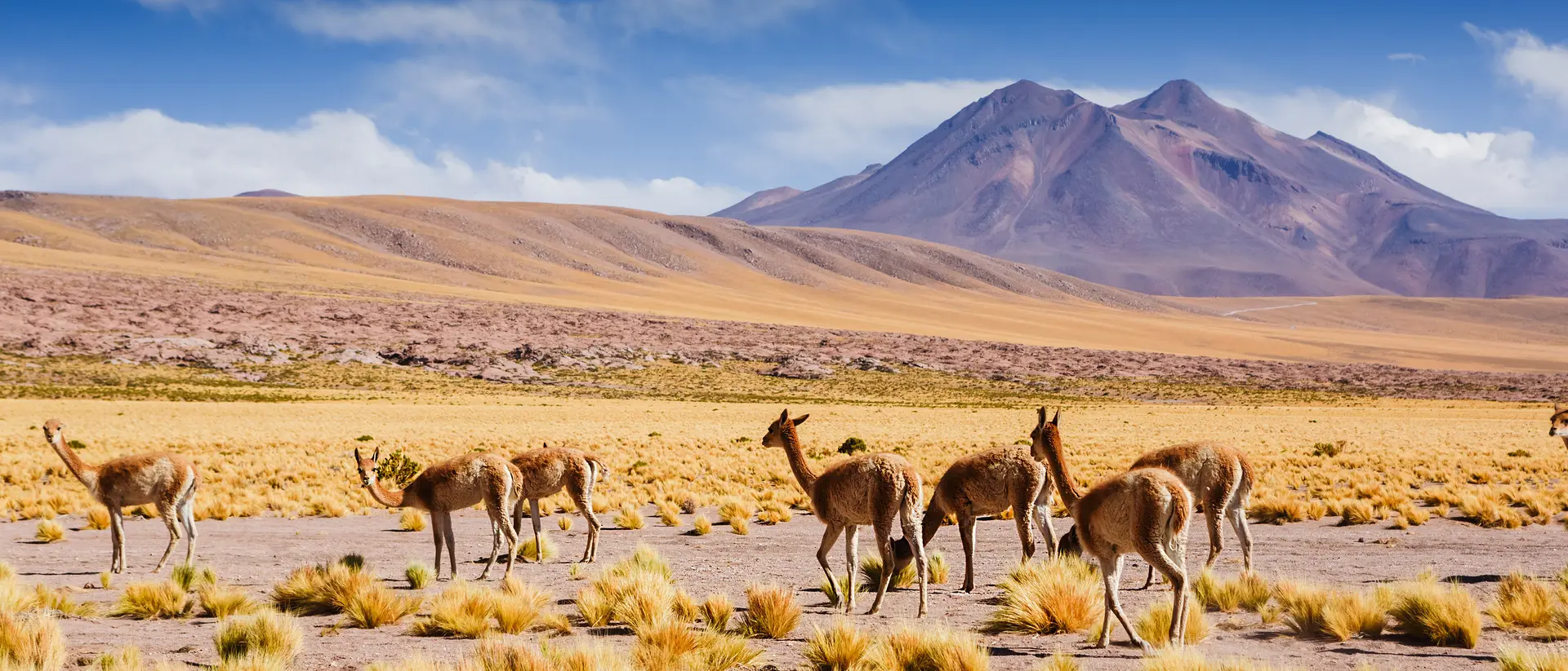 Atacama Desert, Chile