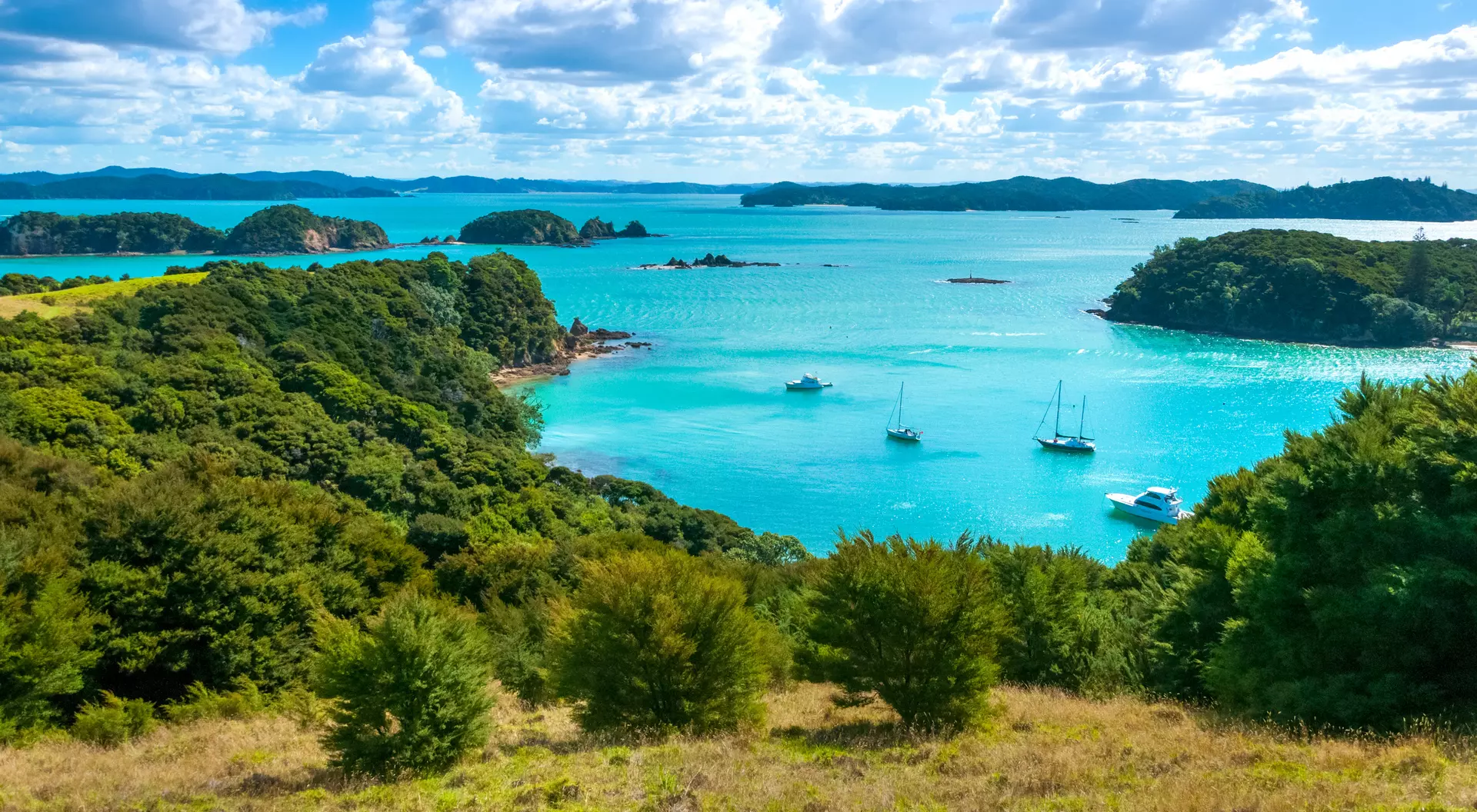 Bay of Islands