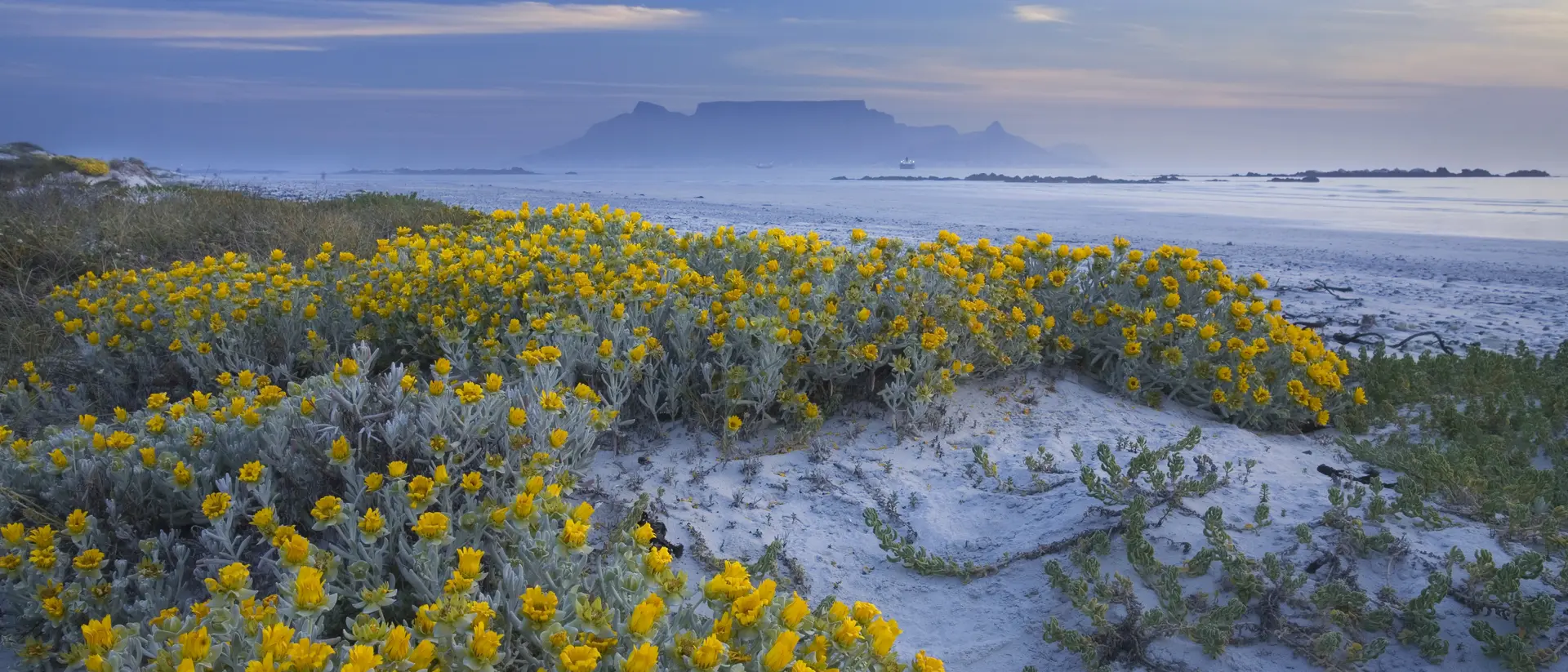 Cape Town & Table Mountain