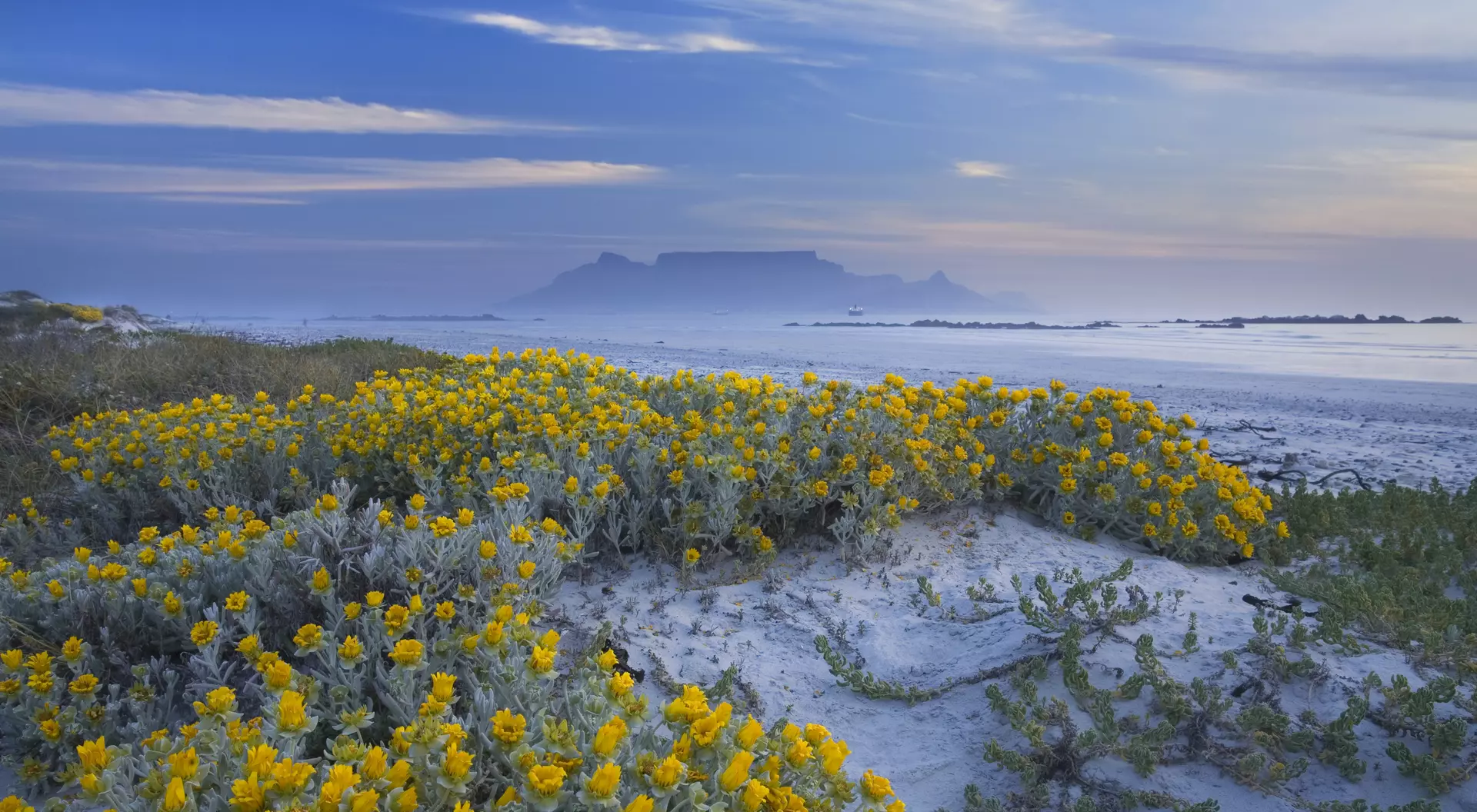 Cape Town & Table Mountain