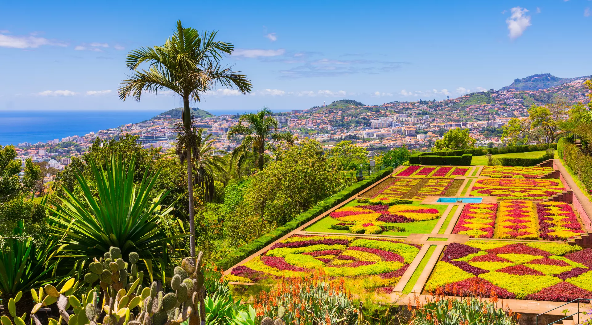 Botanical garden in Funchal, Madeira island, Portugal