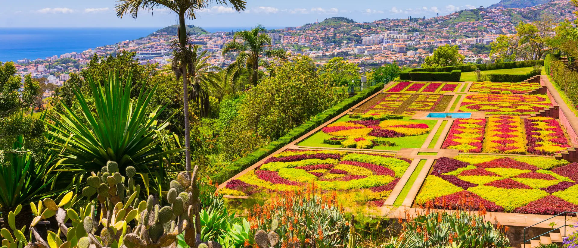 Botanical garden in Funchal, Madeira island, Portugal