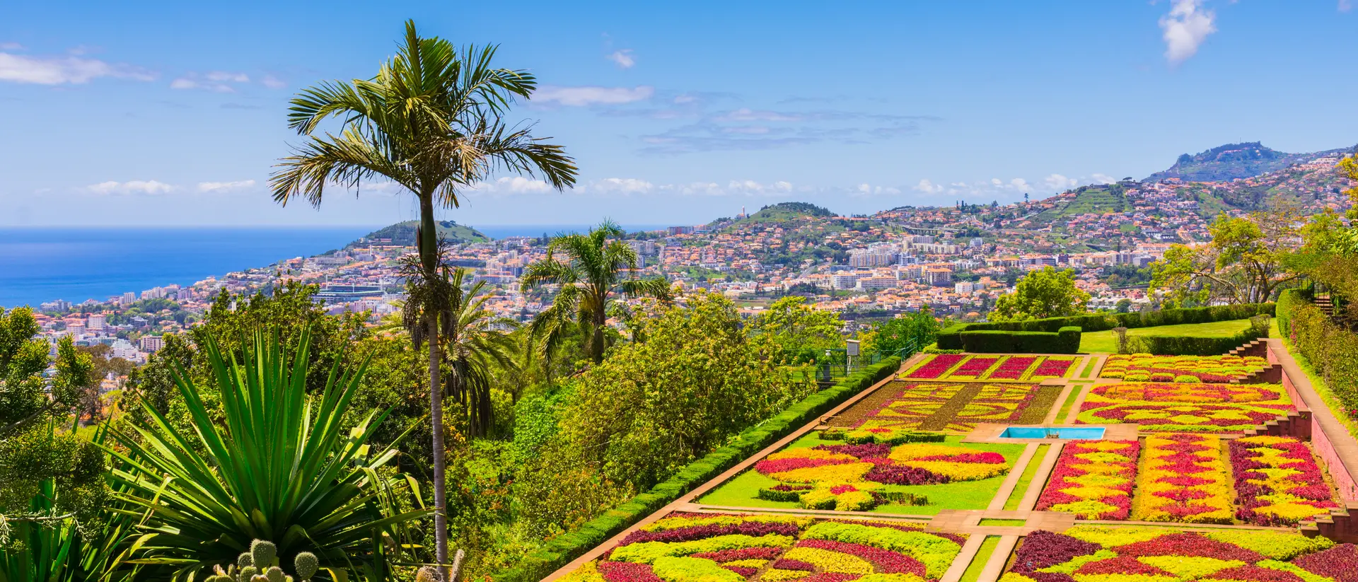 Botanical garden in Funchal, Madeira island, Portugal