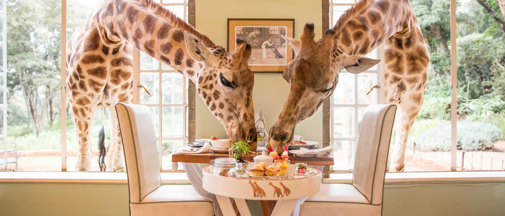 Dine with the locals at Giraffe Manor