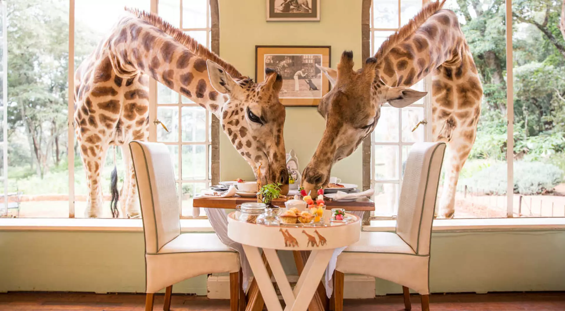 Dine with the locals at Giraffe Manor
