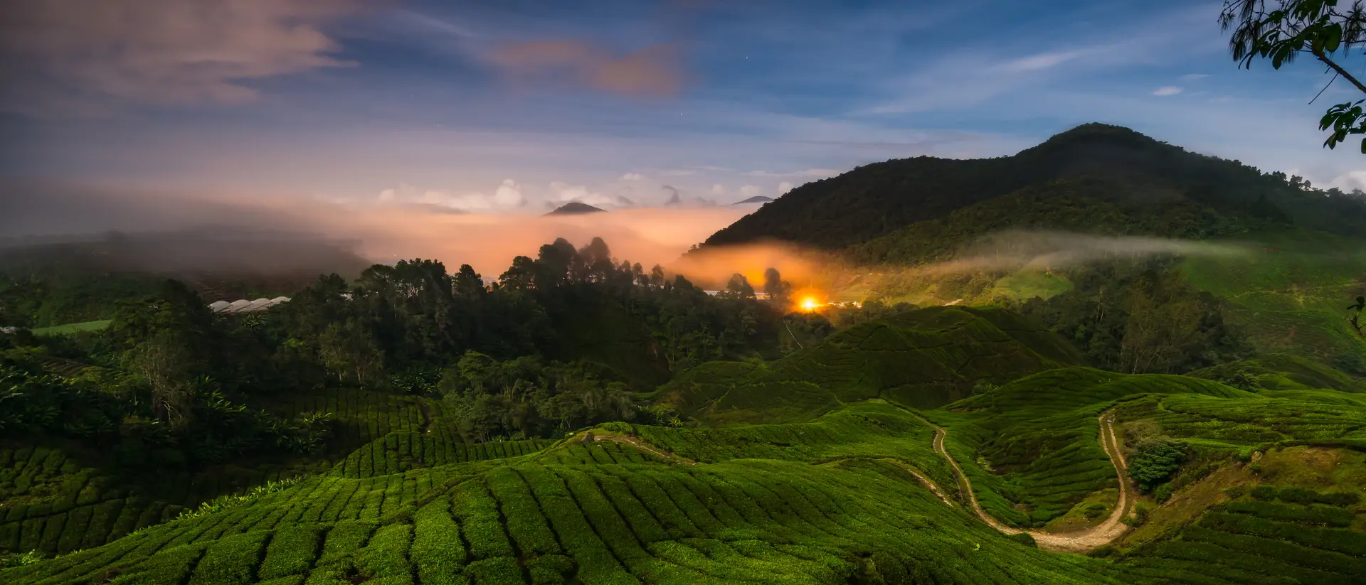 Cameron Highlands, Malaysia