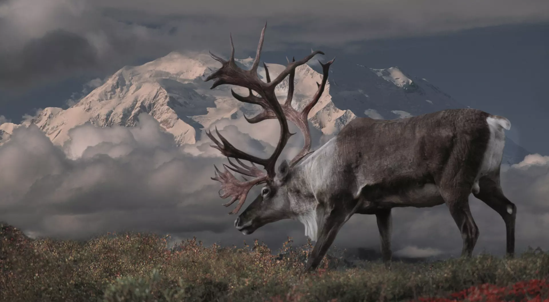 Denali National Park, Alaska
