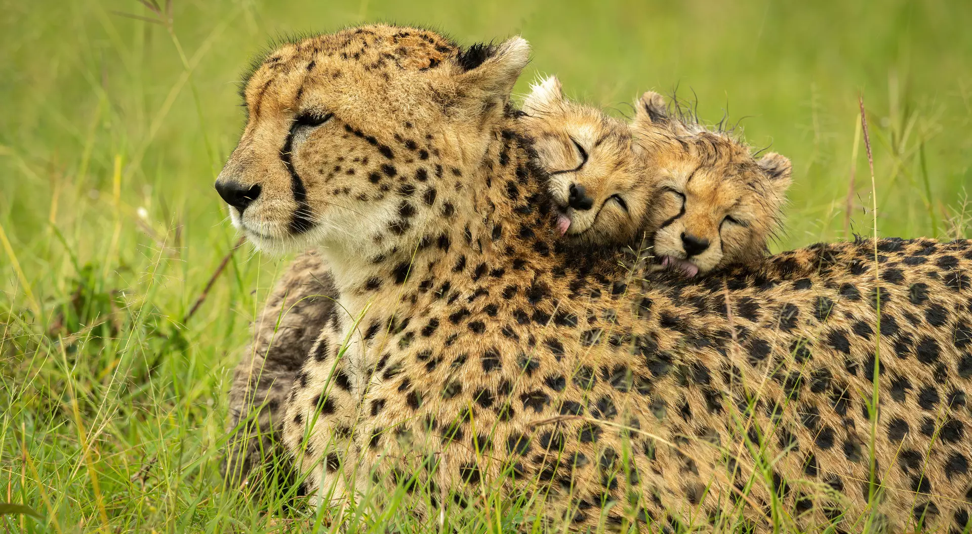 Serengeti National Park