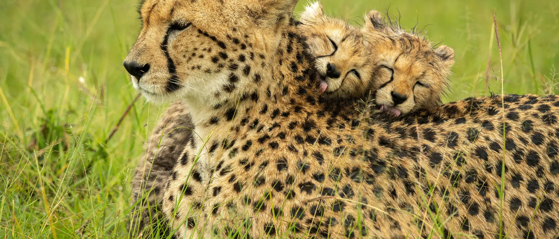 Serengeti National Park