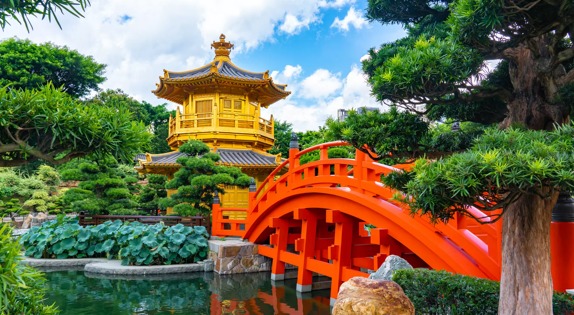 Chi Lin Nunnery, Hong Kong