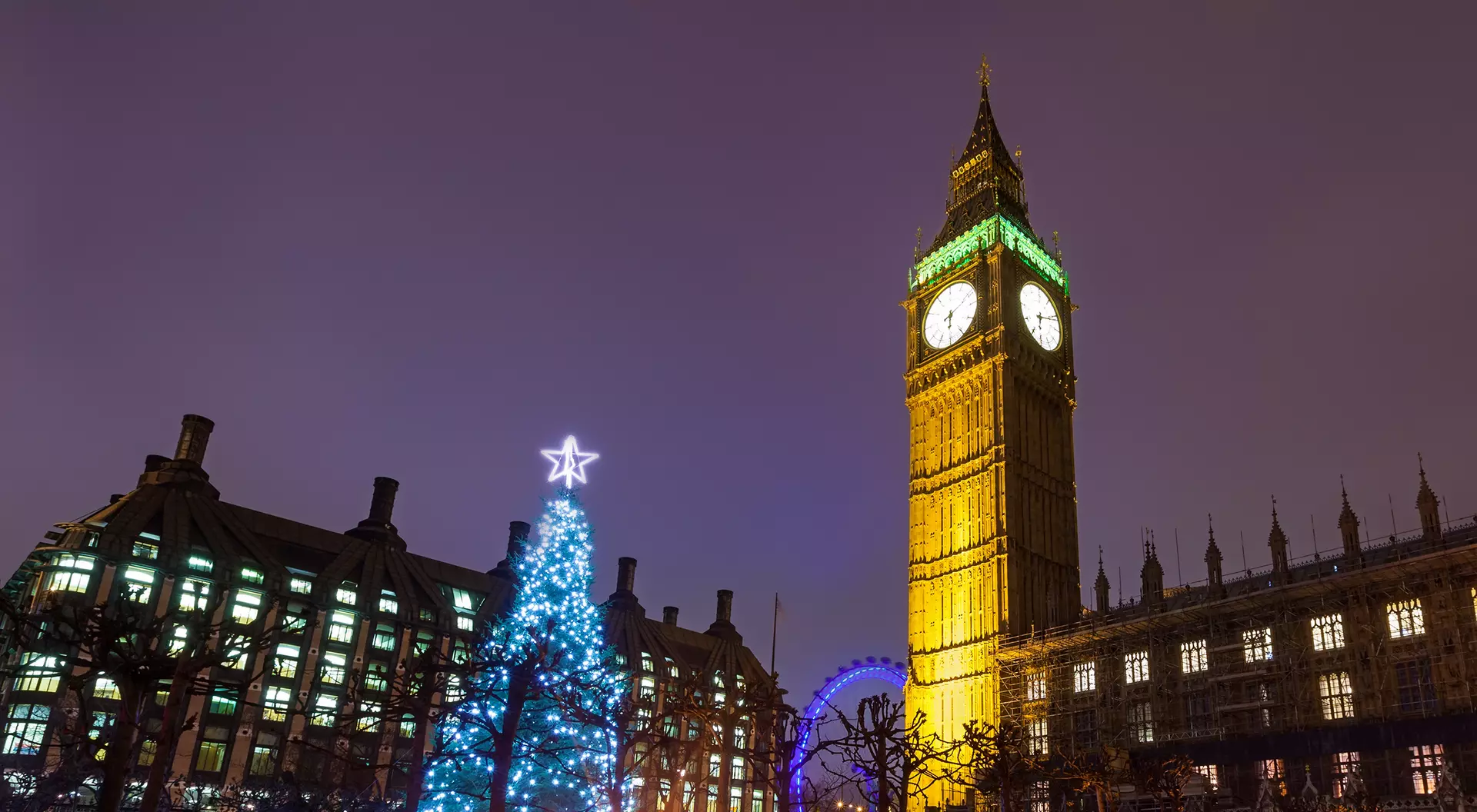 Christmas Tree at Westminster