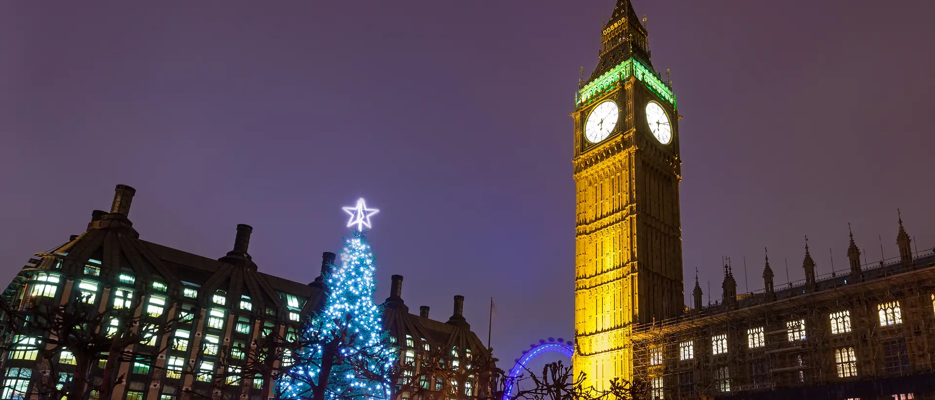 Christmas Tree at Westminster