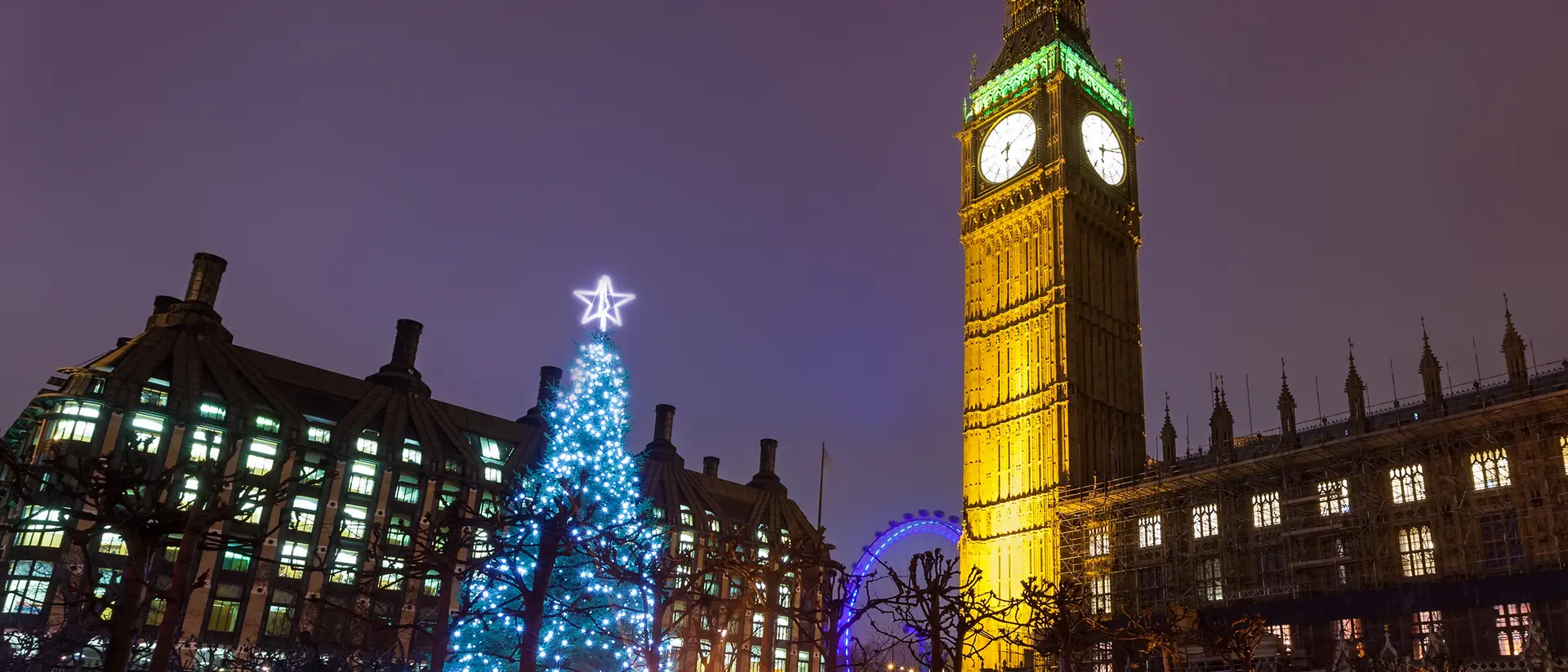 Christmas Tree at Westminster