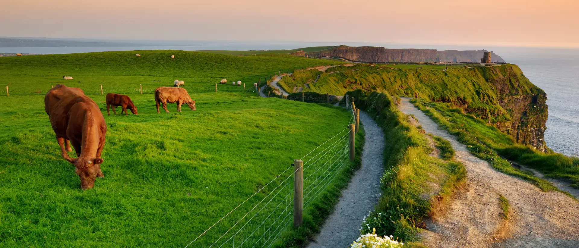 The Cliffs of Mohr