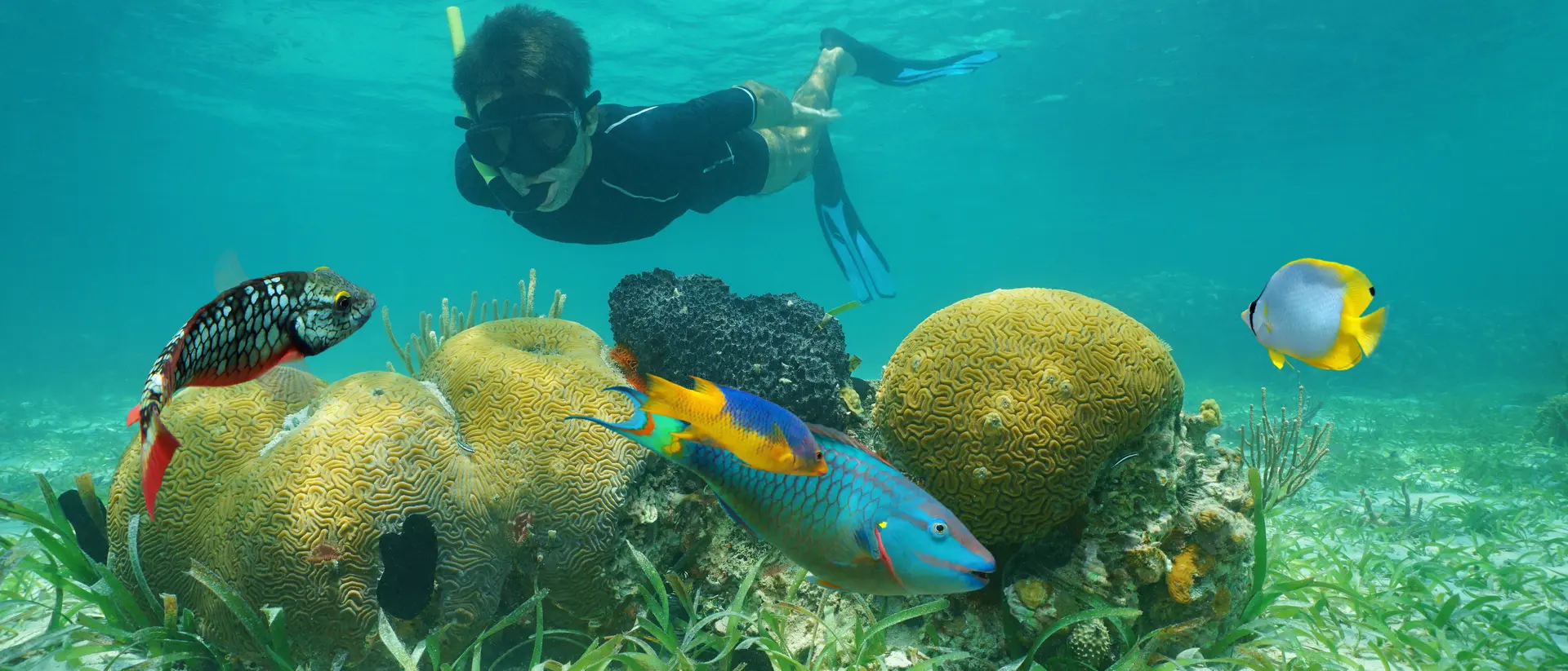 Snorkeling adventure in Belize