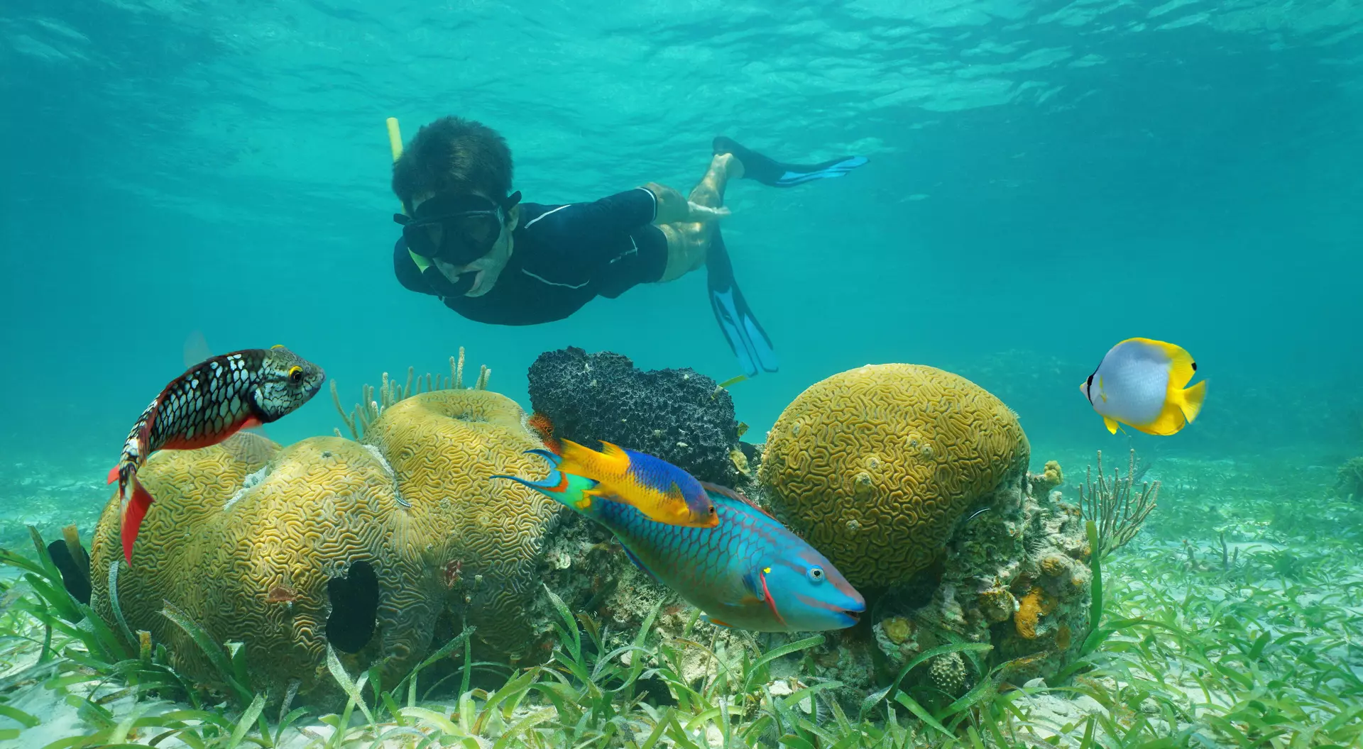 Snorkeling adventure in Belize