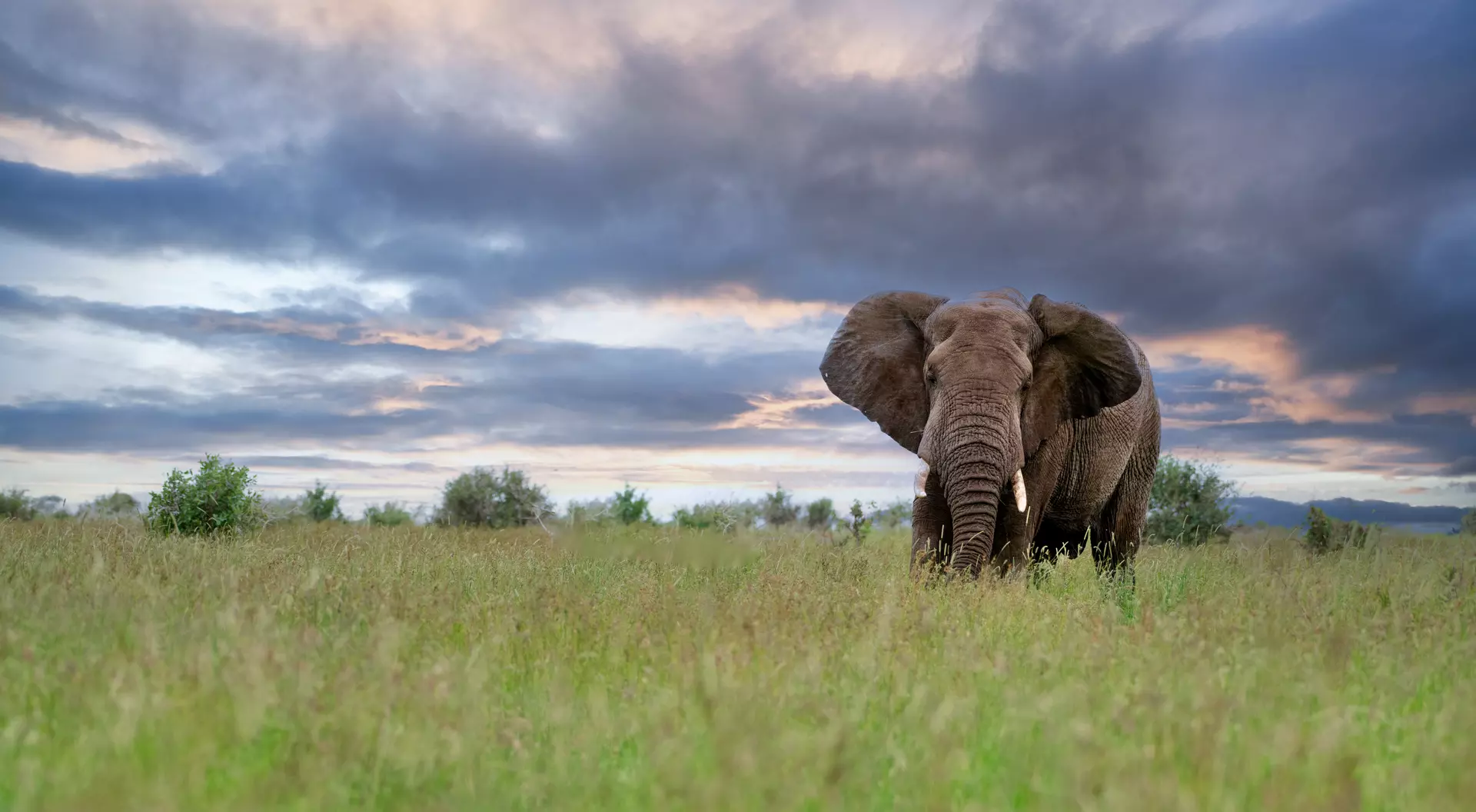 Kruger National Park, South Africa