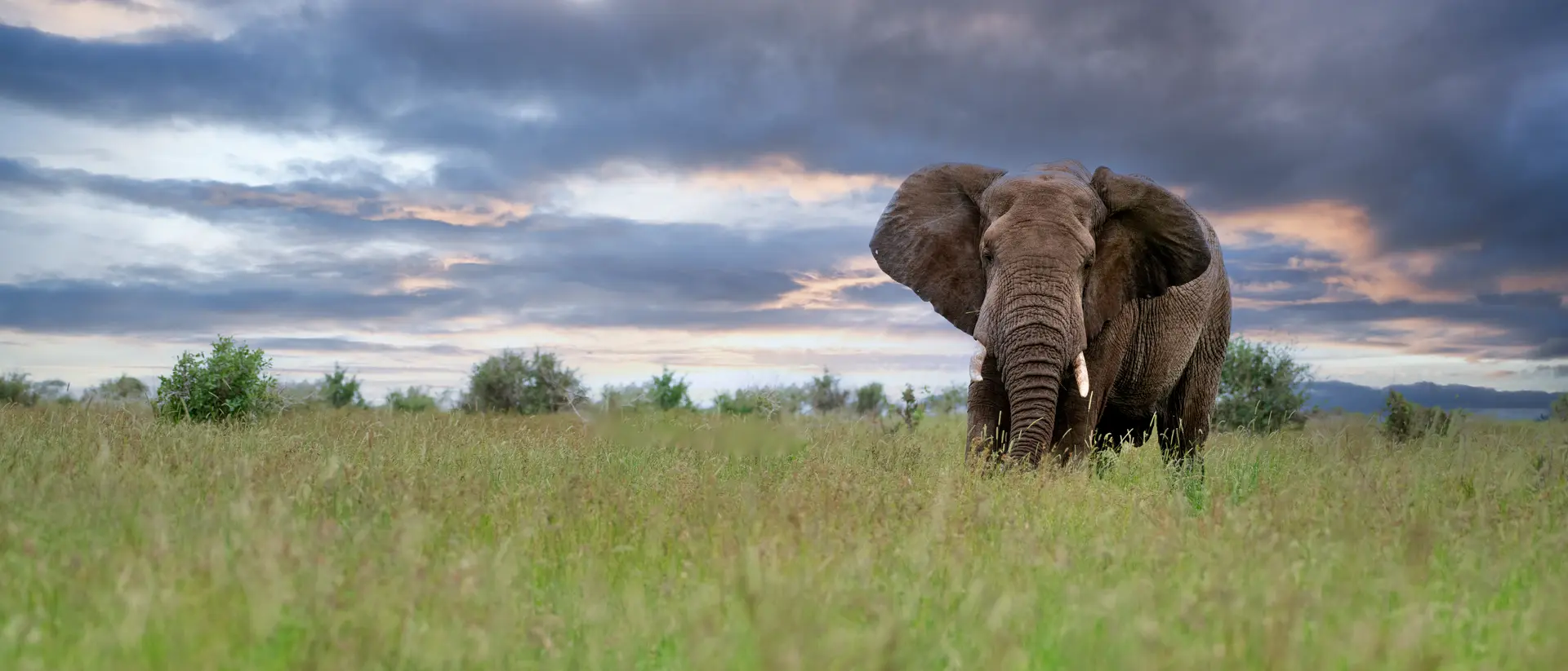 Kruger National Park, South Africa