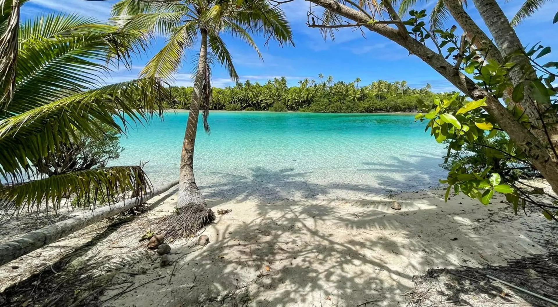 Essence of the Cook Islands