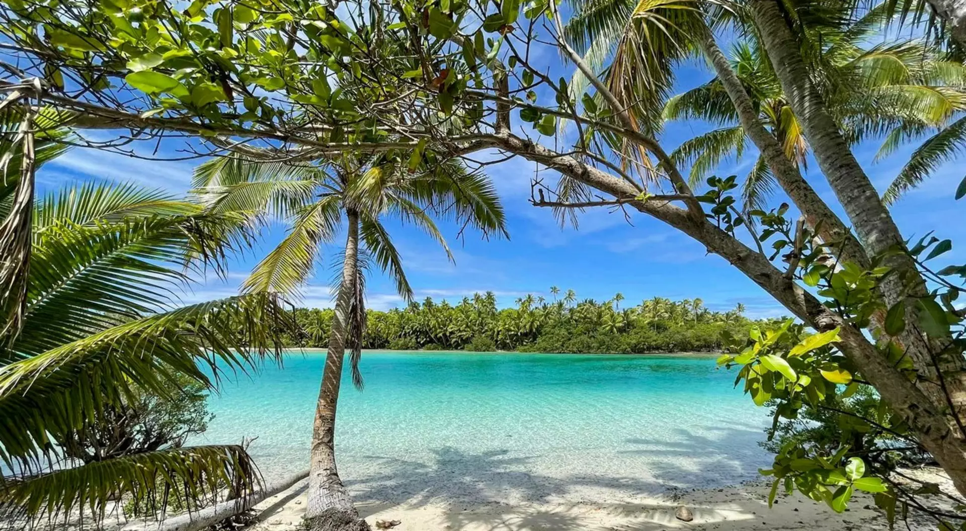 Essence of the Cook Islands