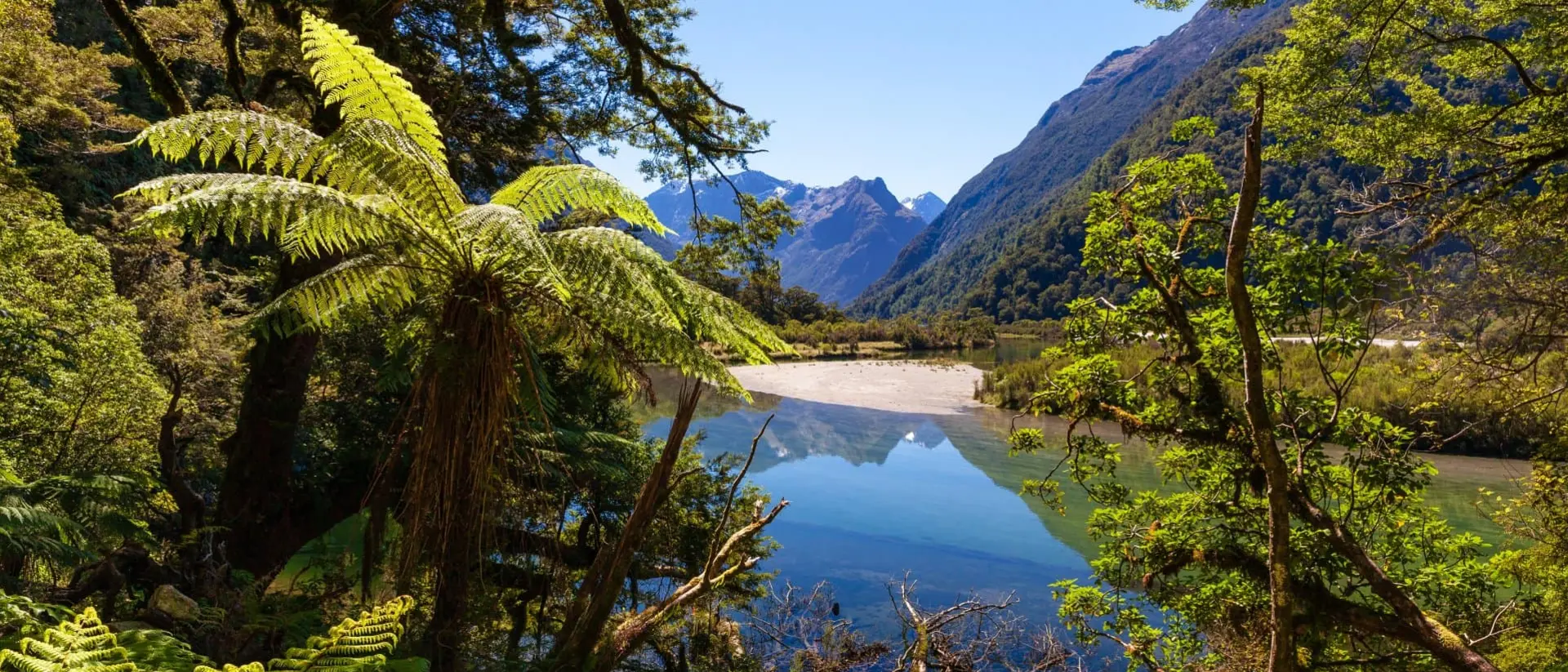 Fiordland National Park, next to the Milford Track, known as the finest walk in the World