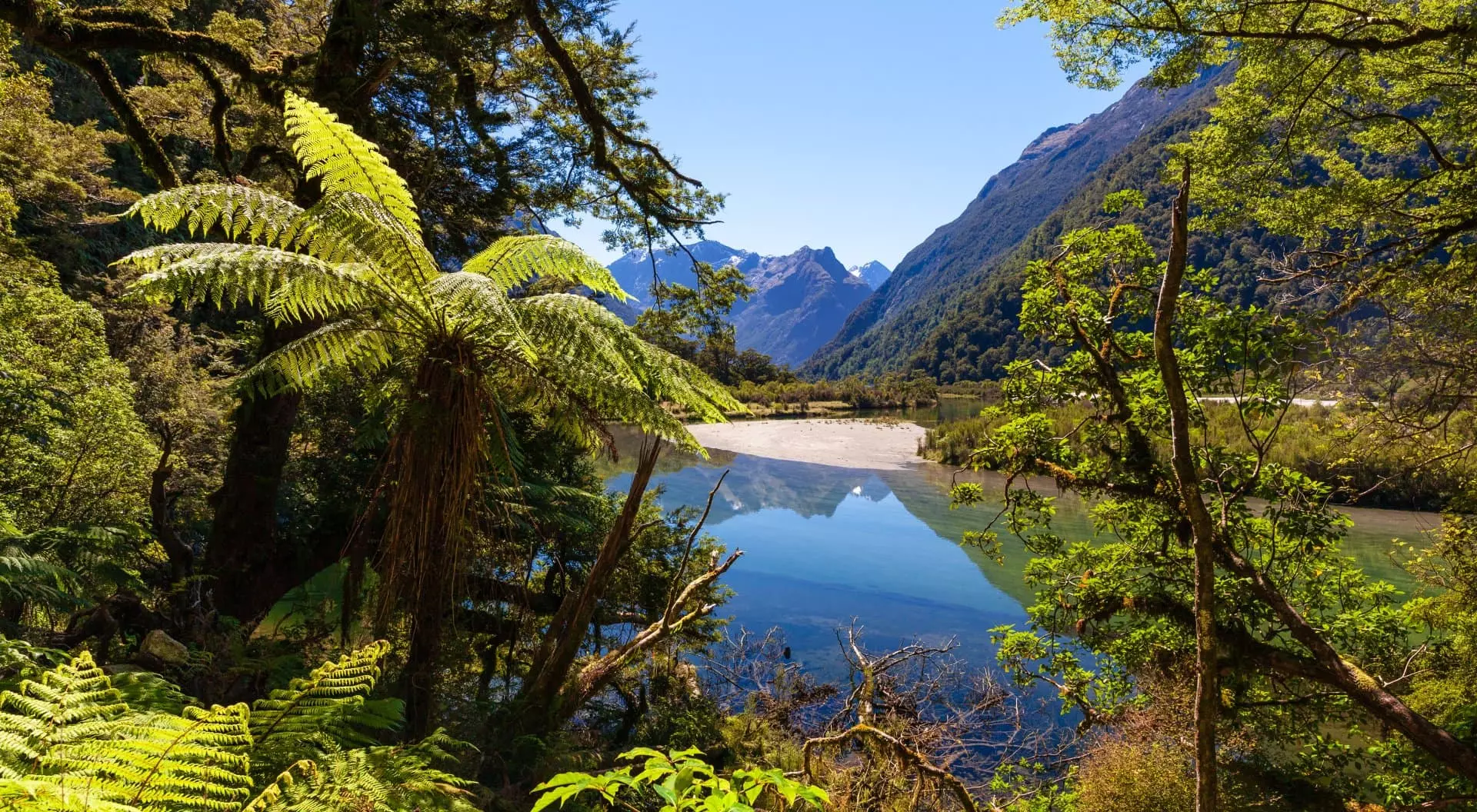 Fiordland National Park, next to the Milford Track, known as the finest walk in the World