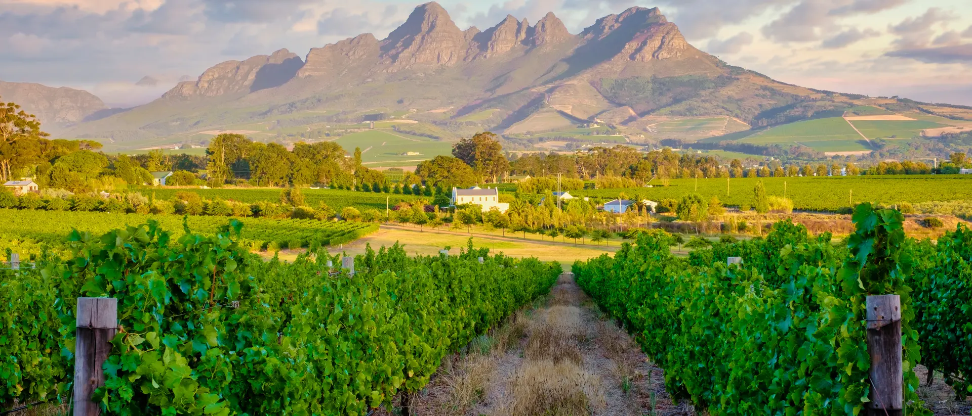 Franschhoek, Cape Winelands