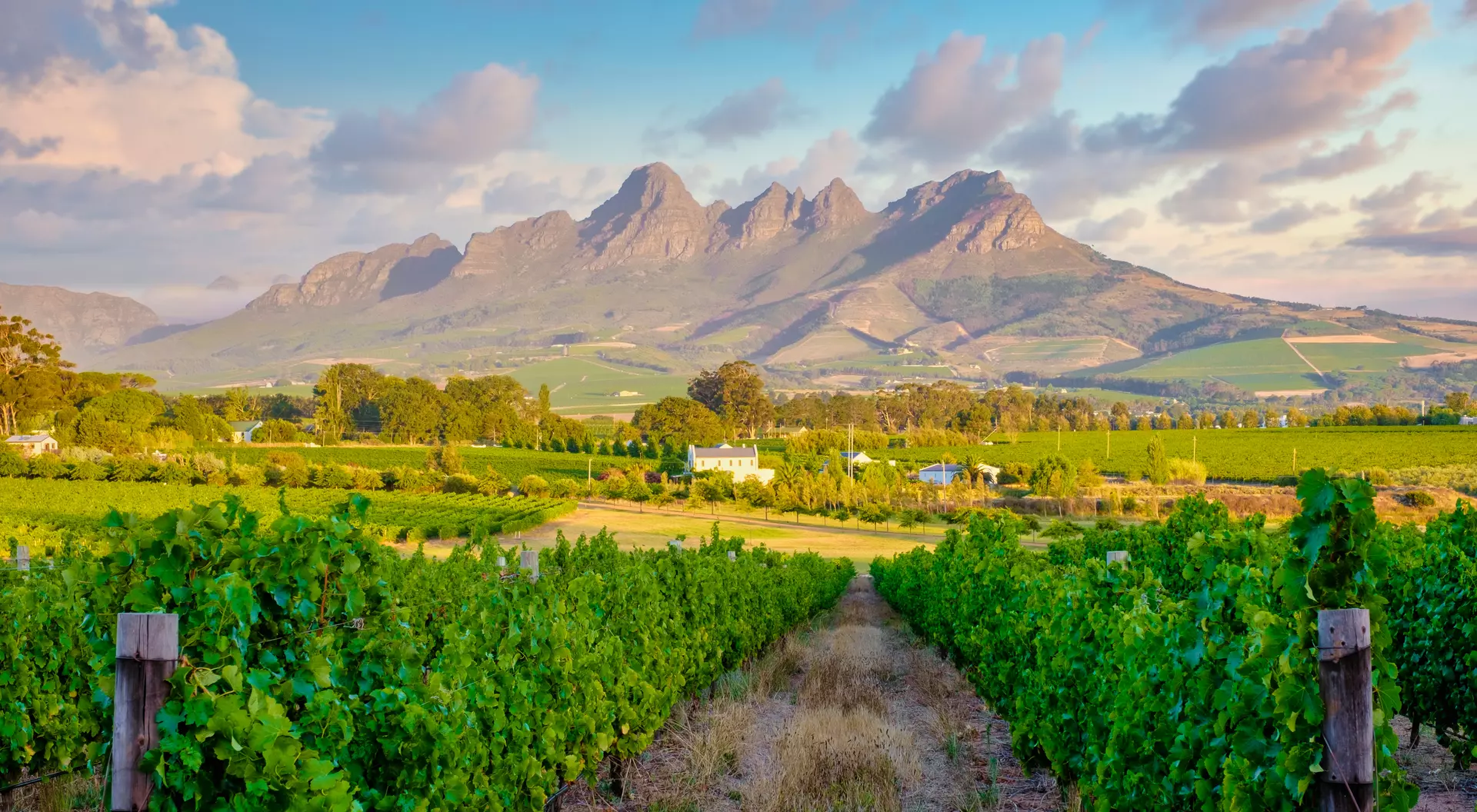Franschhoek, Cape Winelands