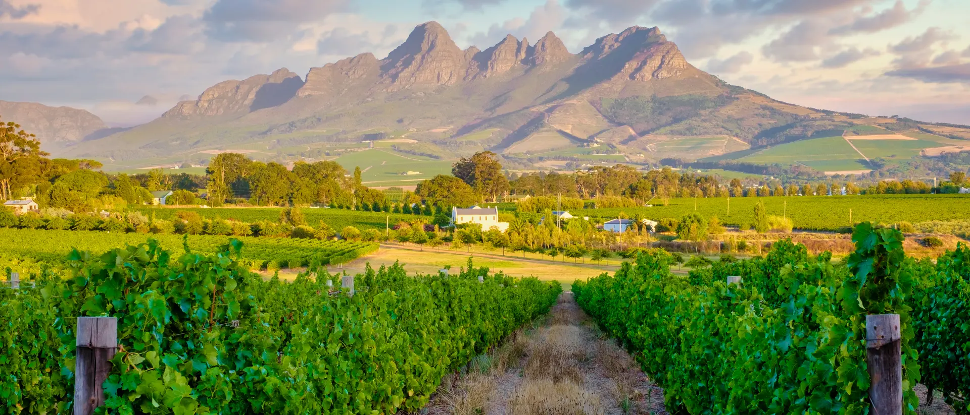Franschhoek, Cape Winelands