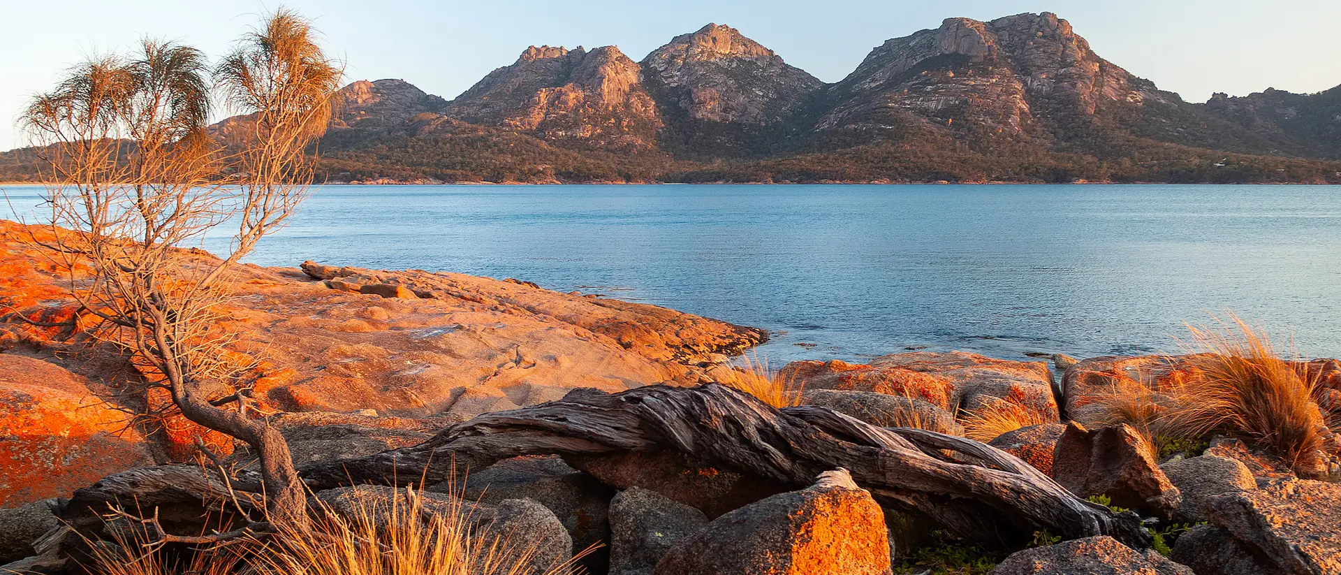 Best of Australia's Wine, Wilderness & Wildlife