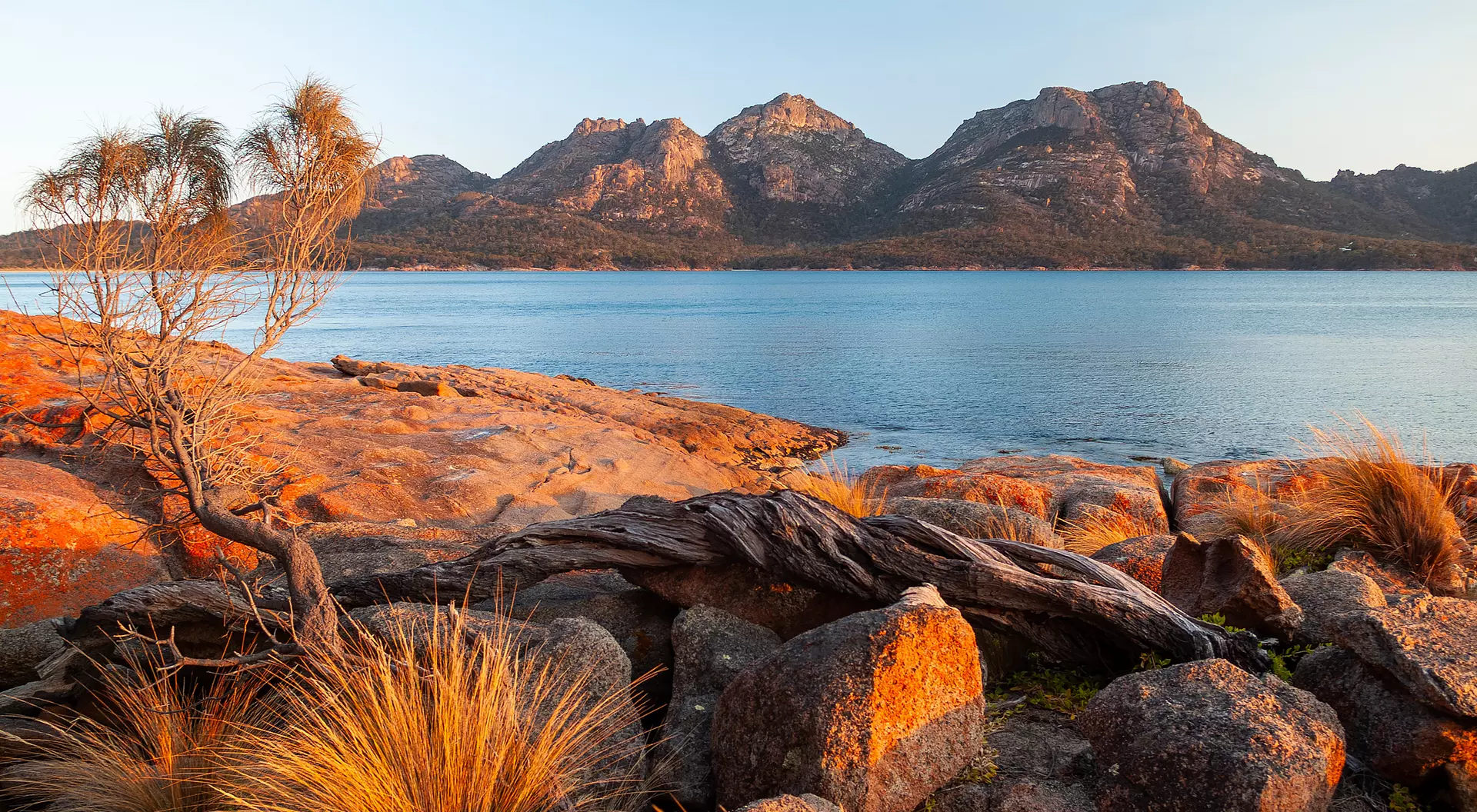 Best of Australia's Wine, Wilderness & Wildlife