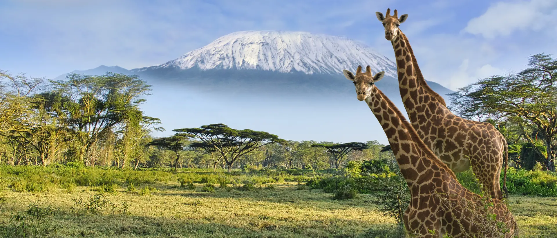 Mbulia Conservancy