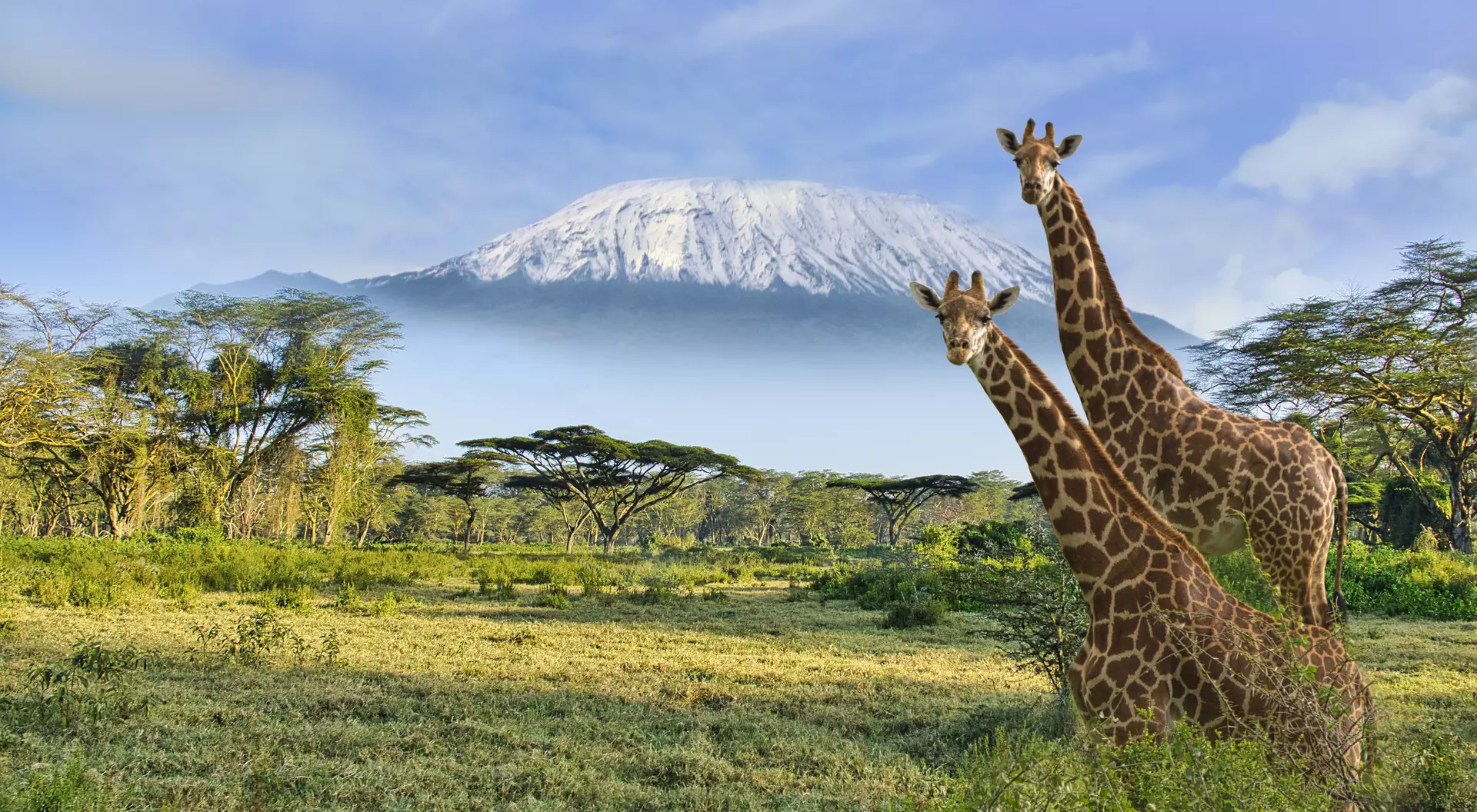 Mbulia Conservancy