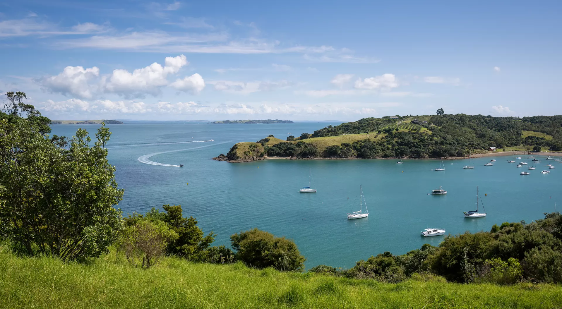 Hauraki Gulf, Waiheke Island