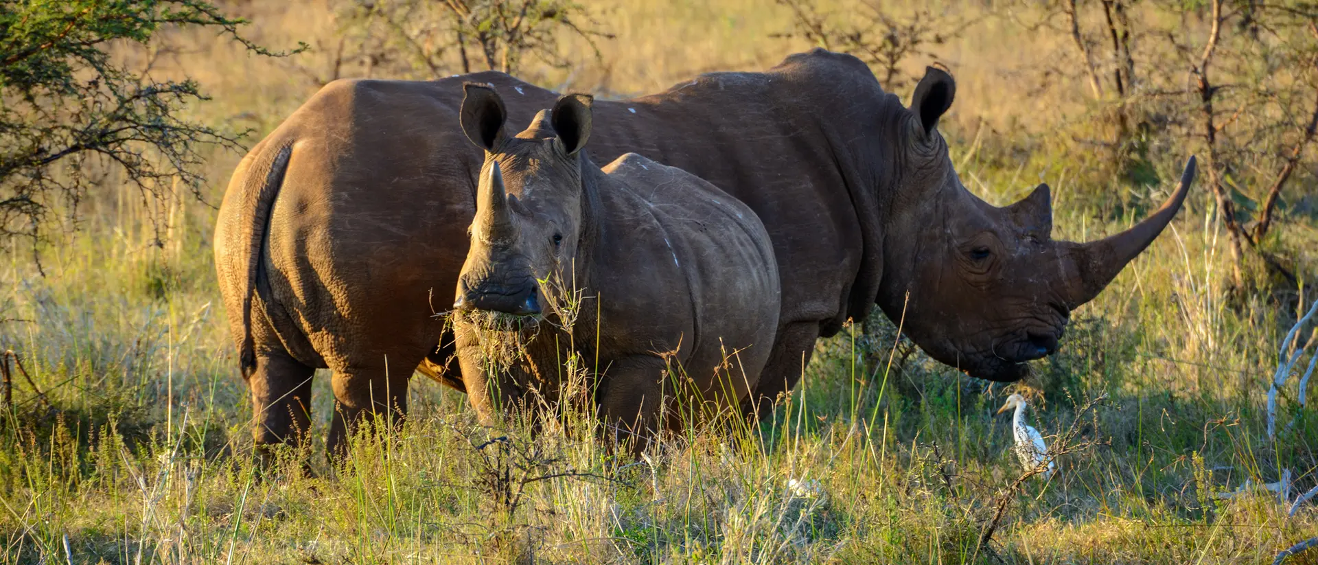 Hluhluwe, South Africa