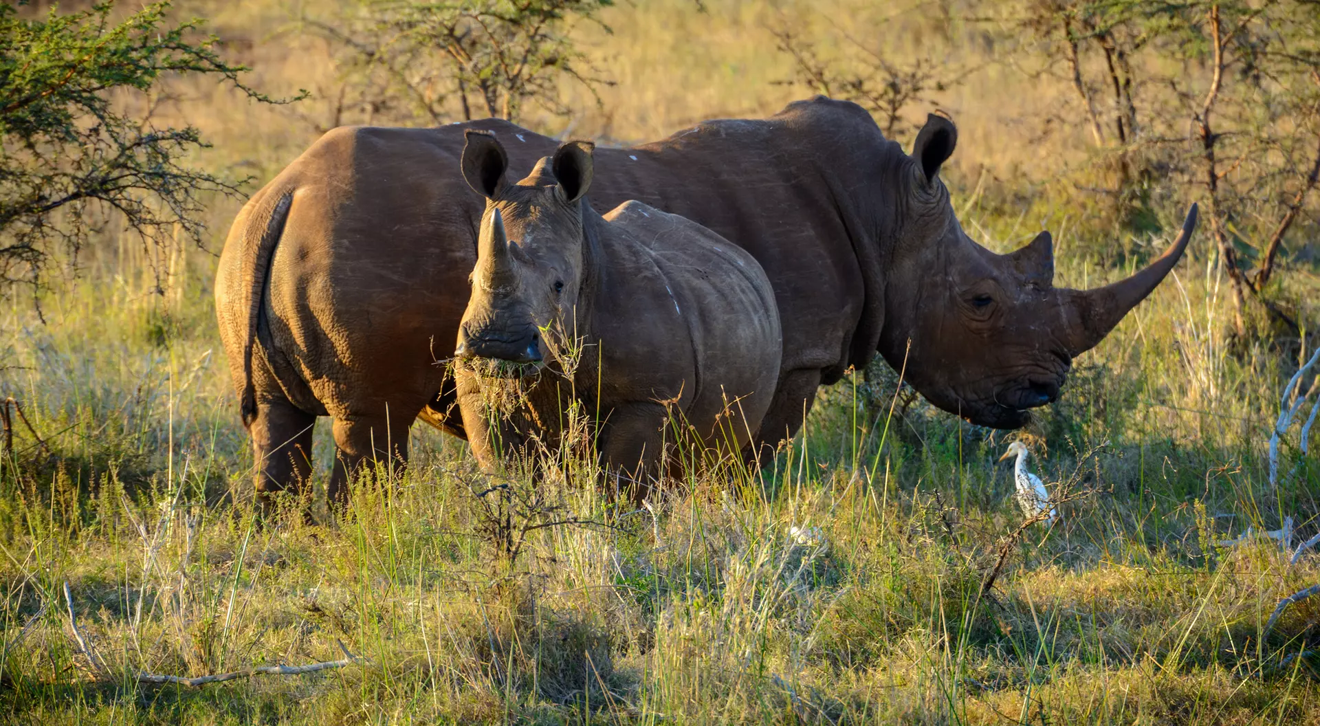 Hluhluwe, South Africa