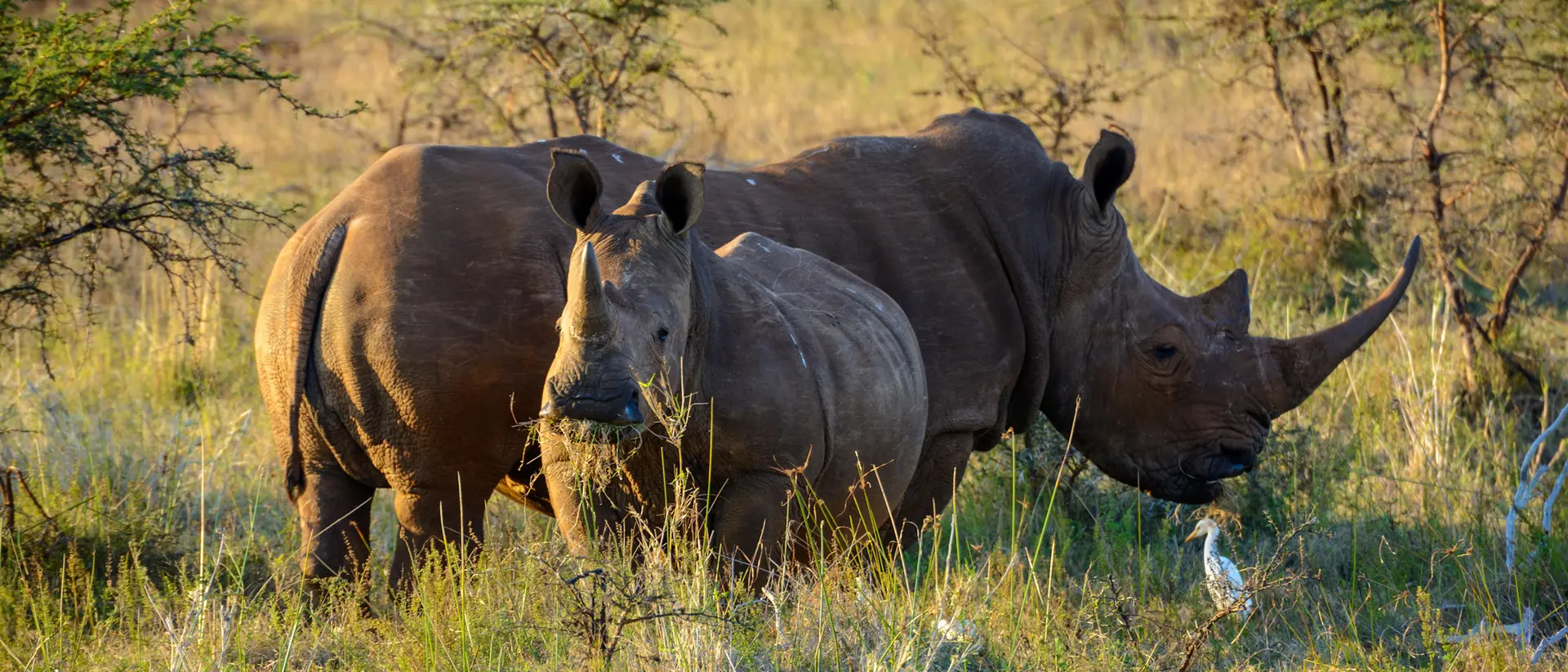 Hluhluwe, South Africa
