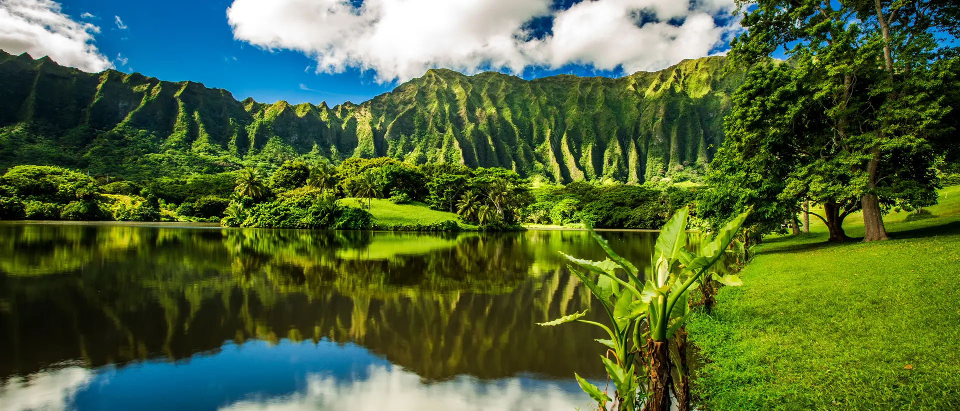 Ho'omaluhia Botanical Garden in Kaneohe, Oahu