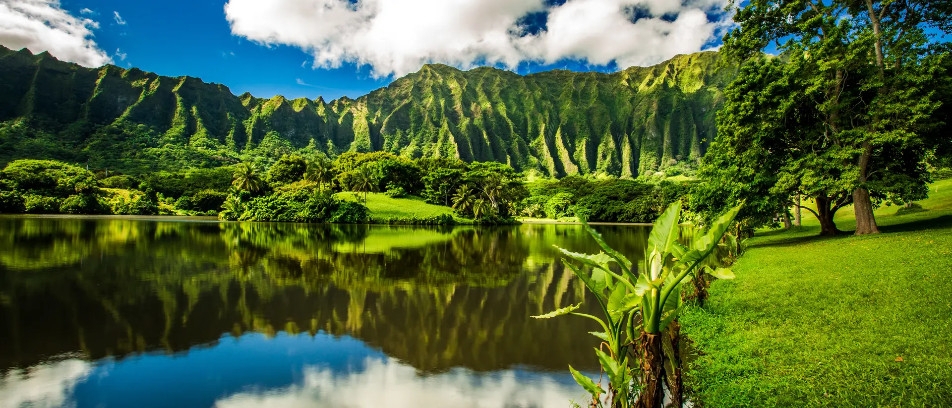 Ho'omaluhia Botanical Garden in Kaneohe, Oahu