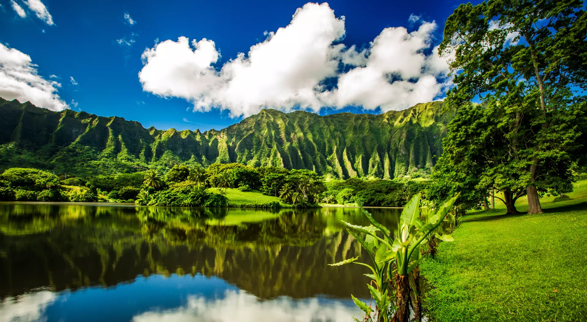 Ho'omaluhia Botanical Garden in Kaneohe, Oahu