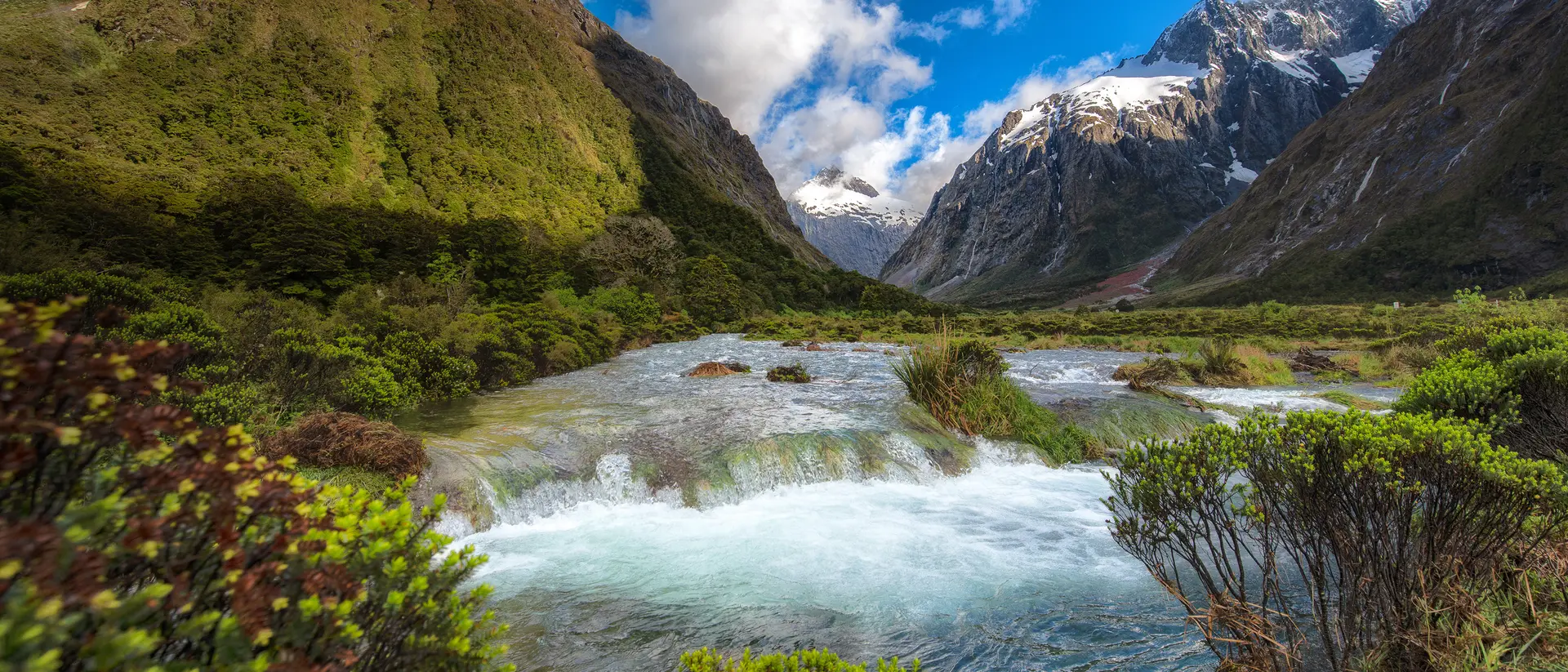 Hollyford Valley