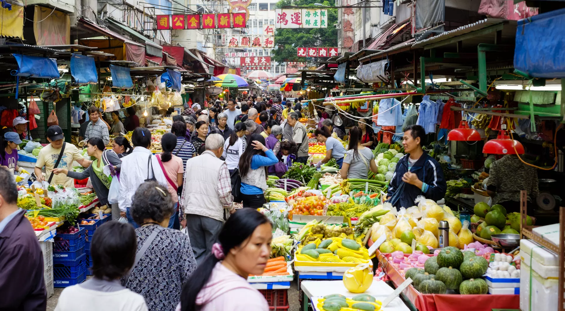 Discover the markets of Hong Kong