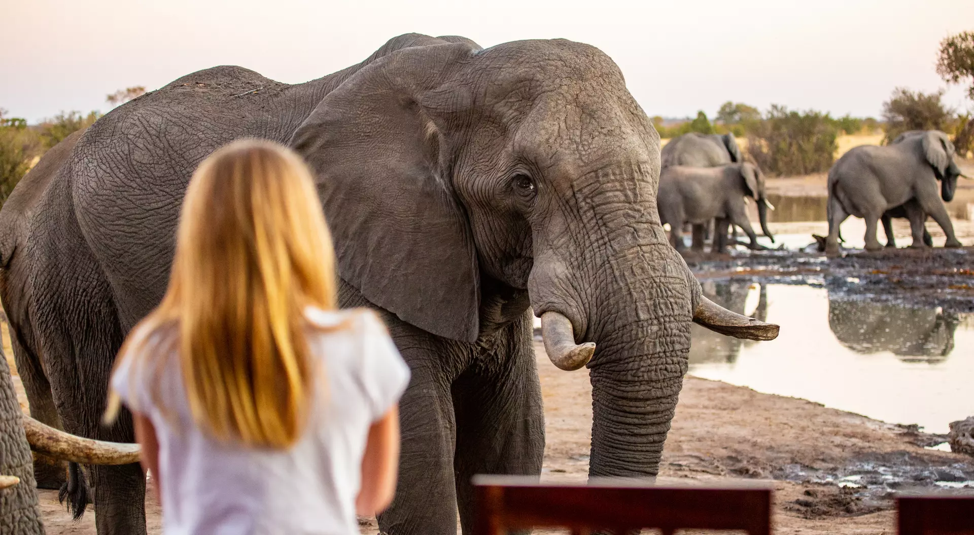 Hwange National Park