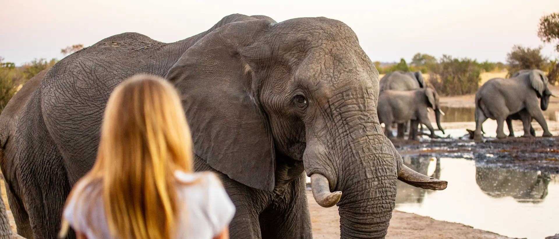 Hwange National Park