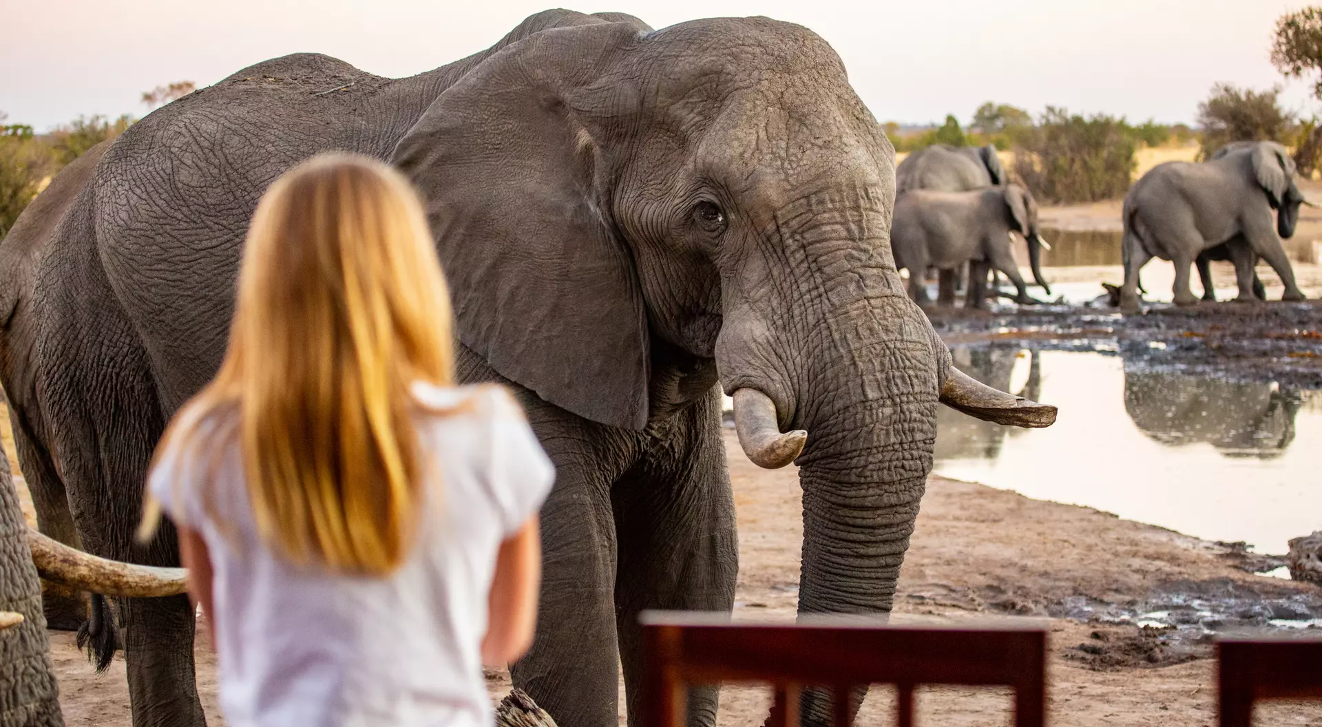 Hwange National Park