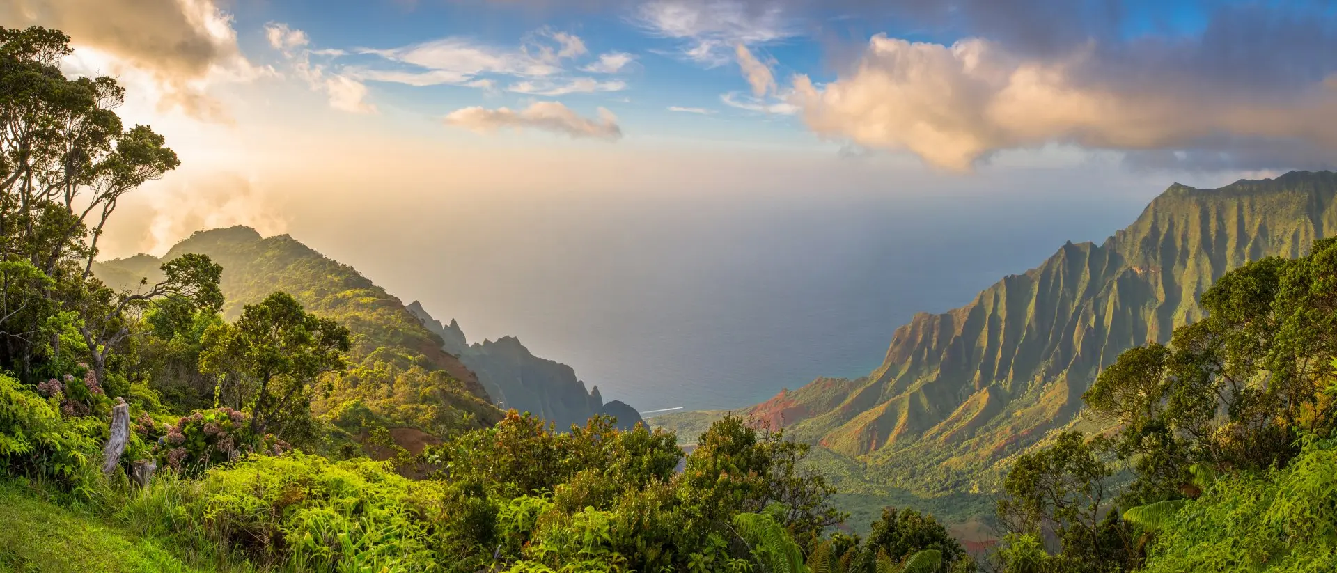 Kalalau Lookout