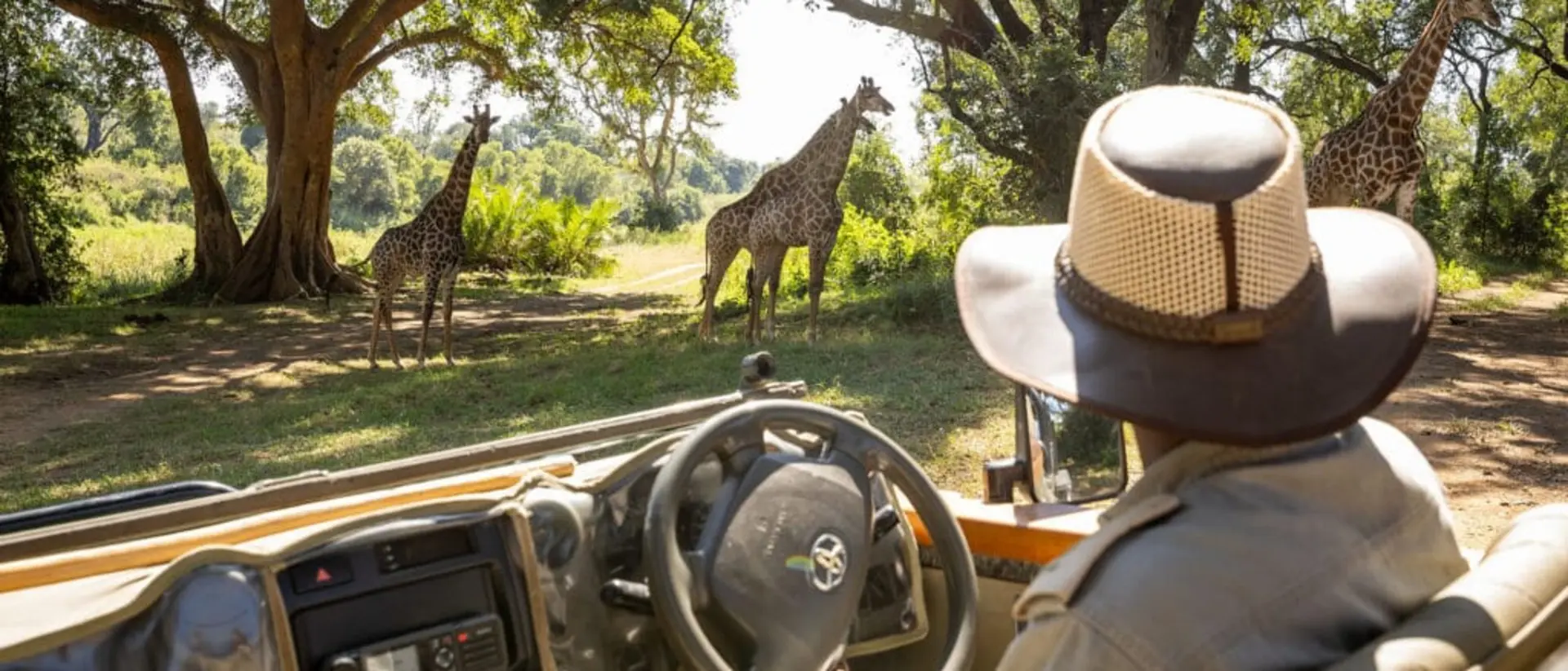 Karongwe Game Drive