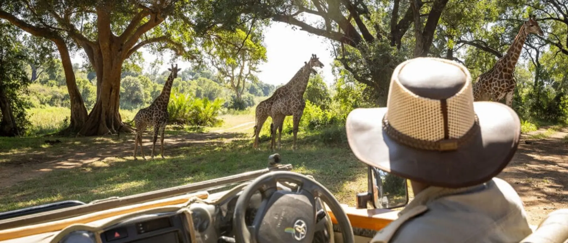 Karongwe Game Drive