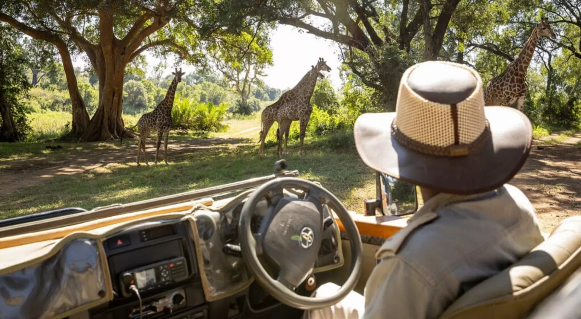 Karongwe Game Drive